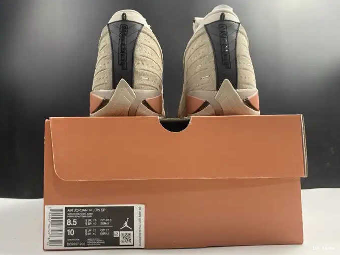 14 Low Jordan Blush Retro DC9857-200 Clot Terra AIR 0520